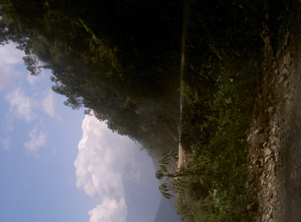 PICT2670