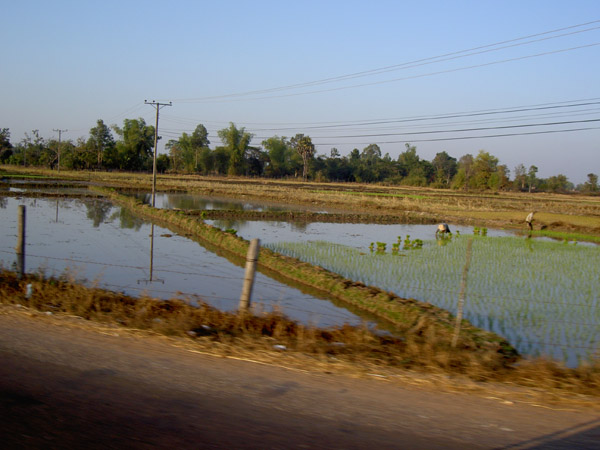 PICT4603