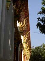 PICT4658