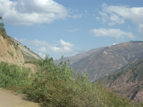 IMGP2944