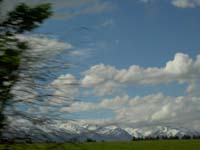 PICT3166