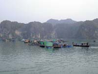 PICT4851