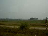 PICT4870