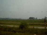 PICT4871